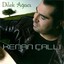 Dilek Ağacı Albumcover