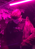 Jarry profile