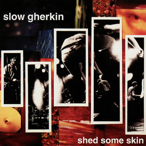 Shed Some Skin album