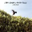 Canyons Albumcover