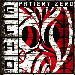 Echo cover