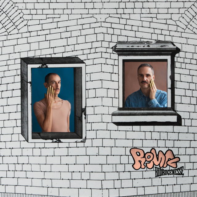 Roma cover