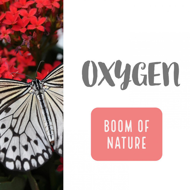 Oxygen Photo