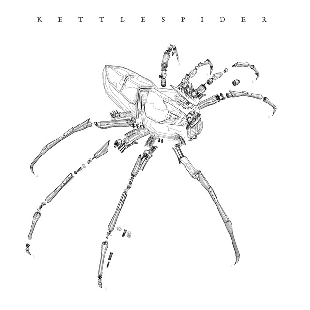 Kettlespider Photo