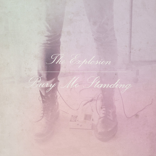 Bury Me Standing cover