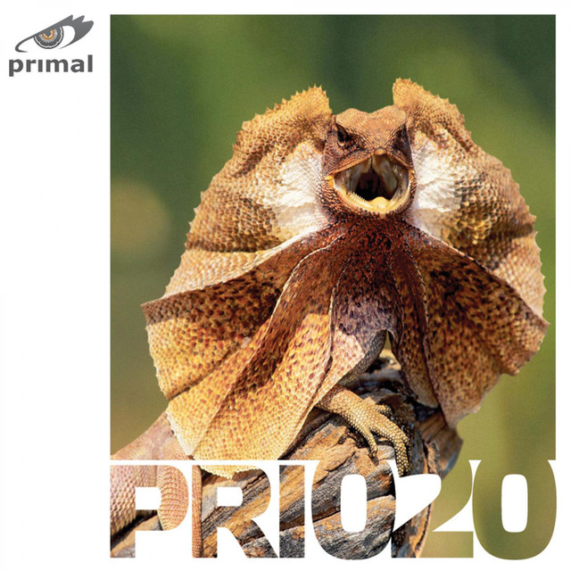 Filigro Photo