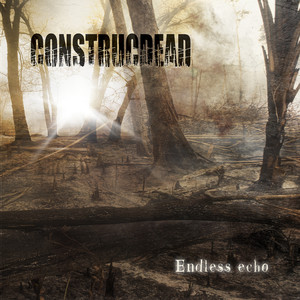 Endless Echo cover