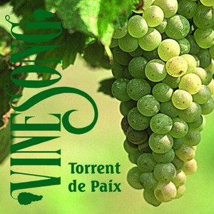 Torrent De Paix Albumcover