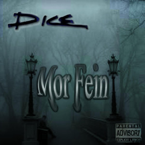 MorFein cover