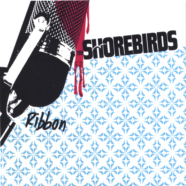 Shorebirds Photo