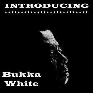 Introducing Bukka White album