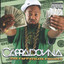 The Cappatilize Project cover