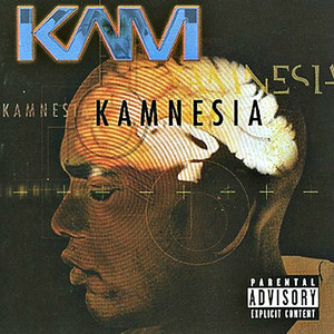 Kamnesia cover