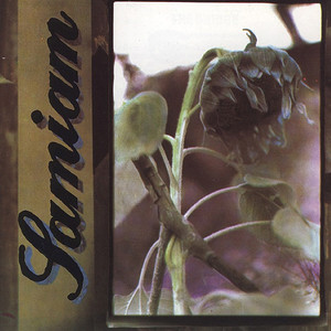 Samiam cover