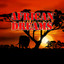 African Dreams Albumcover