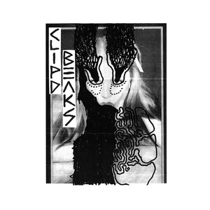 Melter cover