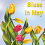 Blues In May cover