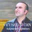 Anaların Çığlıkları Albumcover