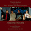 Healing Waters (feat. Paul Shaffer and Ravi Coltrane) cover