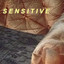 Sensitive cover