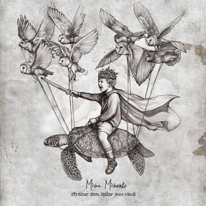 Strákur Sem Spilar Með Vindi Albumcover