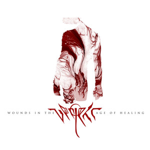 Wounds in the Age of Healing cover