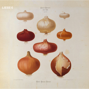 Liebe 6