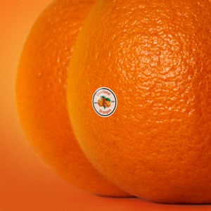 The Juice: Vol. II album