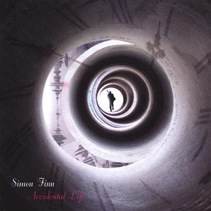 Accidental Life cover
