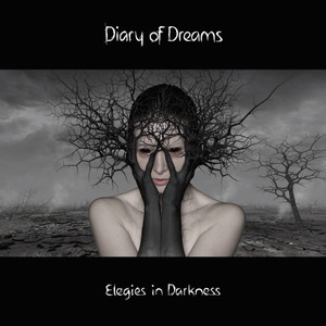 Elegies in Darkness album