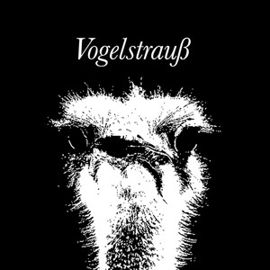 Vogelstrau&szlig;
