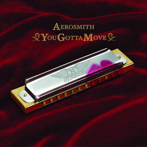 You Gotta Move album