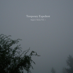 Temporary Expedient: Improv Series Vol. 1 cover