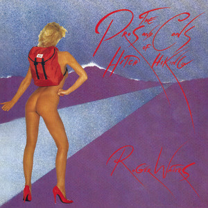 The Pros and Cons of Hitch Hiking album