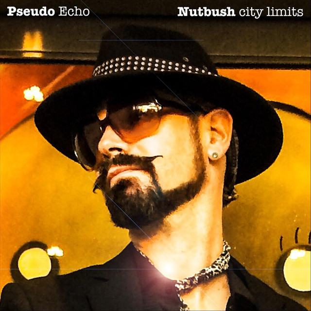 Nutbush City Limits cover