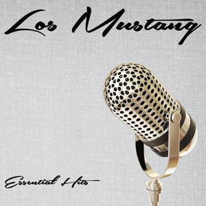 Essential Hits cover