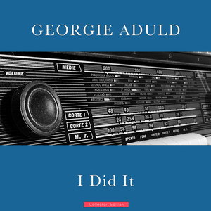 I Did It cover