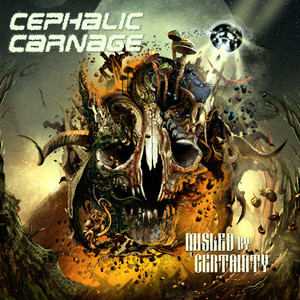 Misled By Certainty cover
