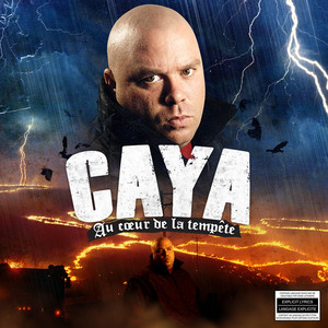 Au cœur de la tempête cover