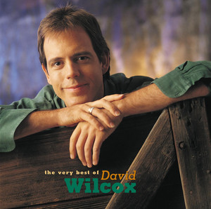 The Very Best of David Wilcox cover
