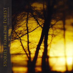 Stories From the Forest cover