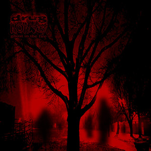 Ghost in the Fire cover