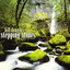 Stepping Stones cover