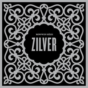 Zilver cover