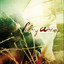 Vestige of Beauty Albumcover