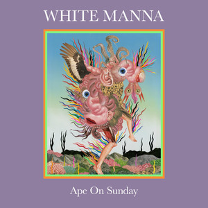 Ape on Sunday cover