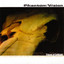 Traces Of Solitude Albumcover
