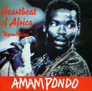 Heartbeat of Africa cover
