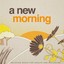 A New Morning (Relaxing Music for Health and Wellbeing) Albumcover