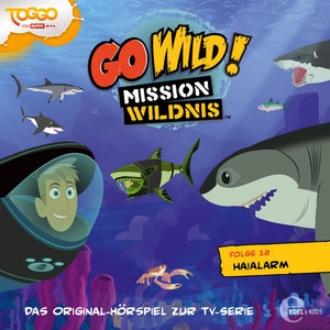 Folge 12: Haialarm (Das Original-Hörspiel zur TV-Serie) Audiobook